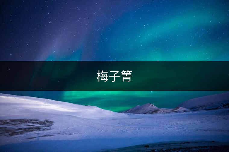 梅子箐