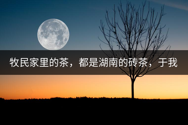 牧民家里的茶，都是湖南的磚茶，于我們而言不見得有多好，它們粗糙得看可見茶梗和樹枝，但于他們來(lái)說(shuō)，卻是每日的生活必需品。端到桌上的茶碗，也是缺了口鋦過(guò)青花瓷碗，聞得見修補(bǔ)后的手溫，喝下加過(guò)鹽巴的磚茶，一身暖意，融化了深藏在發(fā)底的冰屑，溫暖著身心。