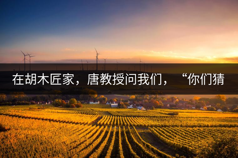 在胡木匠家，唐教授問(wèn)我們，“你們猜猜他們家的茶放在哪里？”我們回答廚房、客廳都不對(duì)，“難道像寺院一樣，有專門的茶房不成？”教授和木匠都哈哈大笑，連連搖頭。在木匠的帶領(lǐng)下，我們來(lái)到主人的臥室，茶磚整齊有序地堆放在床頭柜里。一家之主的臥室，既是休息之所，亦是一家財(cái)富與傳家寶的收藏地。茶之精貴，毋需多言。