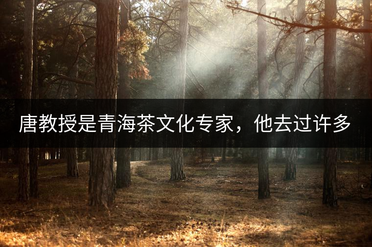 唐教授是青海茶文化專家，他去過(guò)許多游牧家做調(diào)查，總結(jié)下來(lái)就是，磚茶現(xiàn)在雖然易得，但其作為“禮”象征性一直在延續(xù)，一個(gè)家庭，擁有茶磚數(shù)量的多少，既是家庭財(cái)富多寡的考量，亦是家庭地位的考量。茶越多，說(shuō)明其家庭越富裕，地位也顯赫。茶在儲(chǔ)藏的同時(shí)，也在流通，你送多少與被送多少，都取決于你是何等人家。