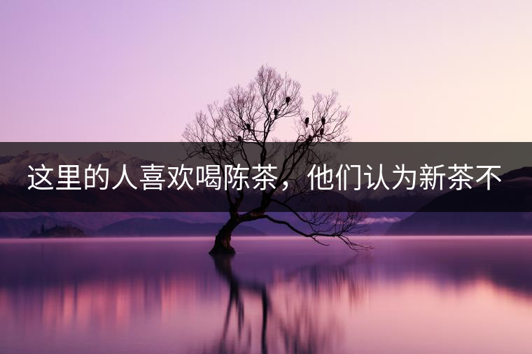 這里的人喜歡喝陳茶，他們認(rèn)為新茶不好喝?？季窟@一消費(fèi)習(xí)慣，可以追溯到西北地區(qū)茶葉運(yùn)輸和儲(chǔ)藏方式，南茶北上后，為了方便運(yùn)輸，都被加工成“磚”樣，到了西北后，大批量的茶進(jìn)入政府的茶馬司倉(cāng)庫(kù)和寺院的大茶房。明、清茶馬司約五年清理、拋售一次陳茶，價(jià)格便宜，許多百姓大量購(gòu)茶都是這個(gè)時(shí)期，寺院的熬茶布施時(shí)間也被限定在特別的日子，故老百姓消費(fèi)陳茶是被迫形成的習(xí)慣。今天普通百姓長(zhǎng)期飲用的茶，都來(lái)自湖南益陽(yáng)。茯磚茶在青海流行，大約歸結(jié)于晚清湖南人左宗棠在西北推廣的“茶柜”制度。