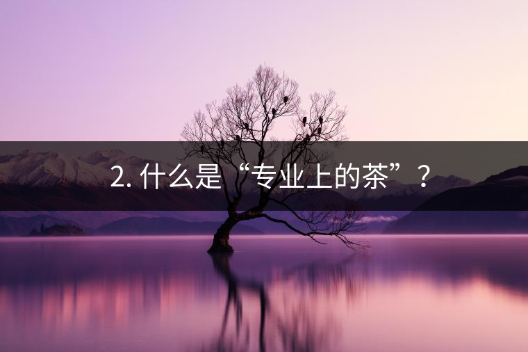 ? 2. 什么是“專業(yè)上的茶”？