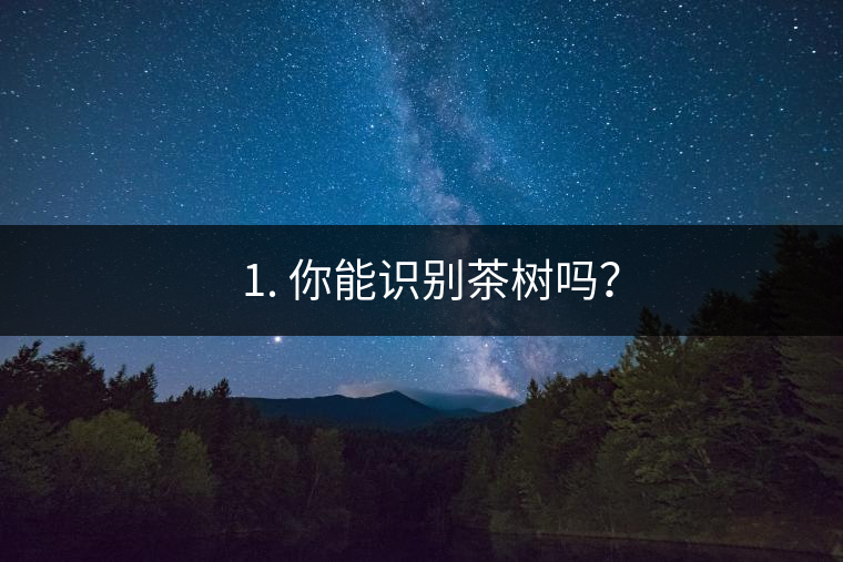 ??1. 你能識(shí)別茶樹嗎？