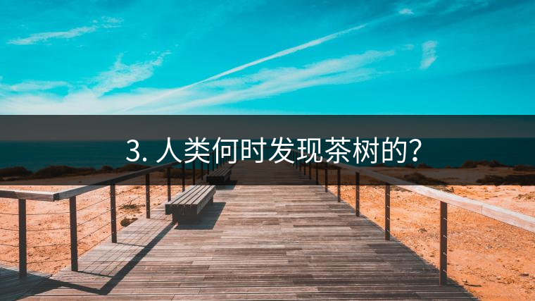 ? 3. 人類何時(shí)發(fā)現(xiàn)茶樹的？