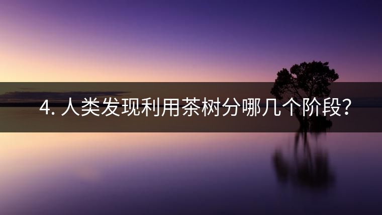 ? 4. 人類發(fā)現(xiàn)利用茶樹分哪幾個(gè)階段？
