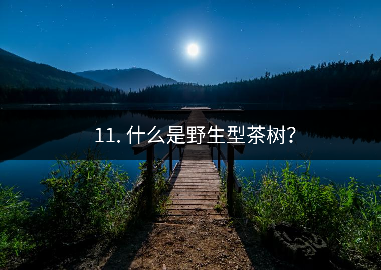? 11. 什么是野生型茶樹？