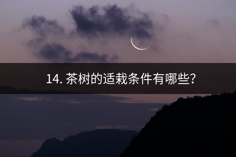 ? 14. 茶樹的適栽條件有哪些？