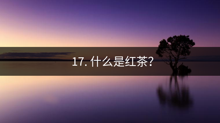 ? 17. 什么是紅茶？