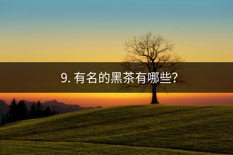 ? 9. 有名的黑茶有哪些？