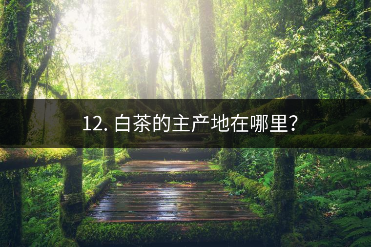 ? 12. 白茶的主產(chǎn)地在哪里？