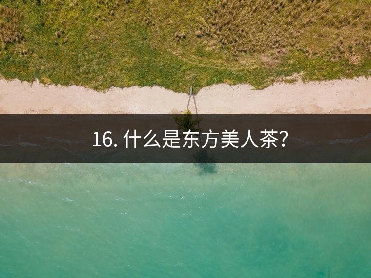 ? 16. 什么是東方美人茶？