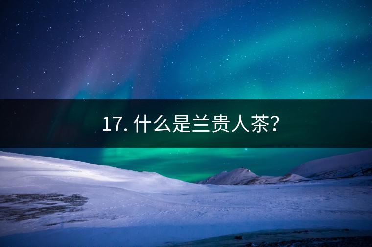 ? 17. 什么是蘭貴人茶？