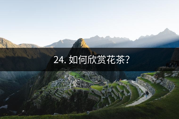 ? 24. 如何欣賞花茶？