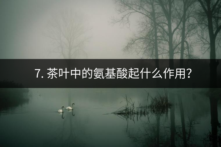? 7. 茶葉中的氨基酸起什么作用？