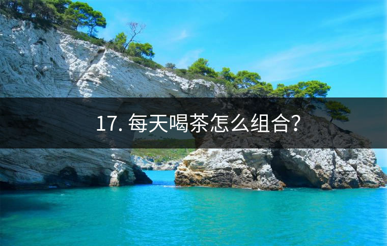 ? 17. 每天喝茶怎么組合？