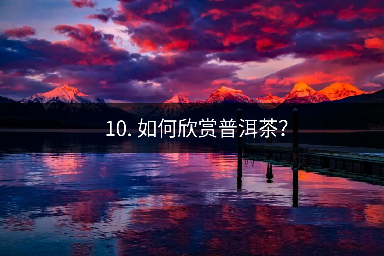 ? 10. 如何欣賞普洱茶？