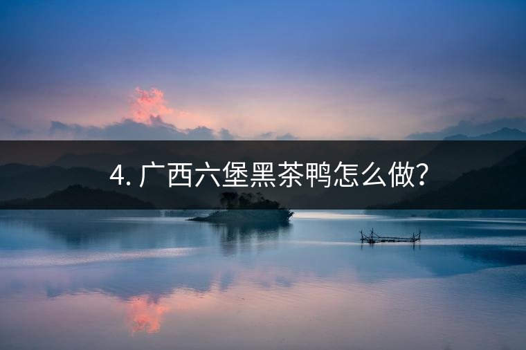 ? 4. 廣西六堡黑茶鴨怎么做？
