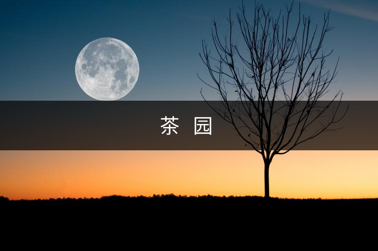 茶?? 園??