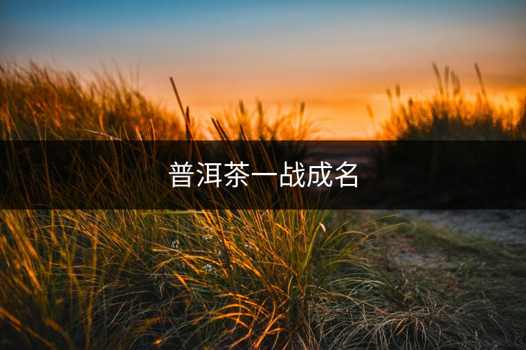 普洱茶一戰(zhàn)成名