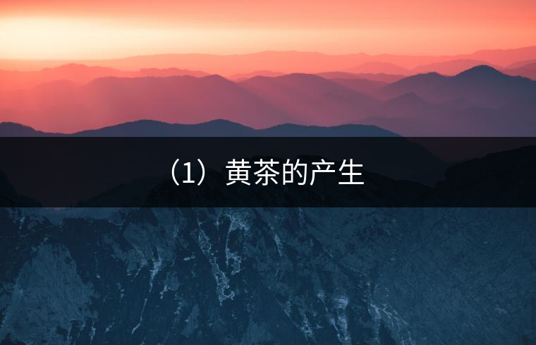 (4)紅茶的產(chǎn)生和發(fā)展 (4)紅茶的產(chǎn)生和發(fā)展