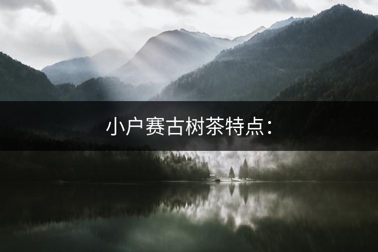 小戶賽古樹茶特點(diǎn)：