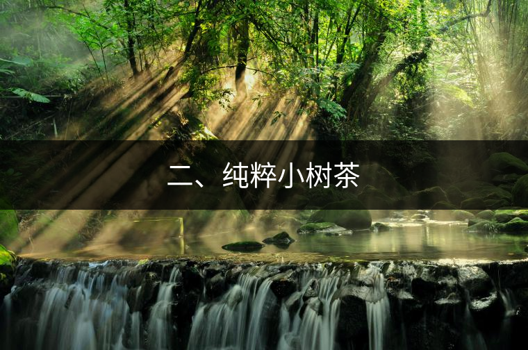 二、純粹小樹茶