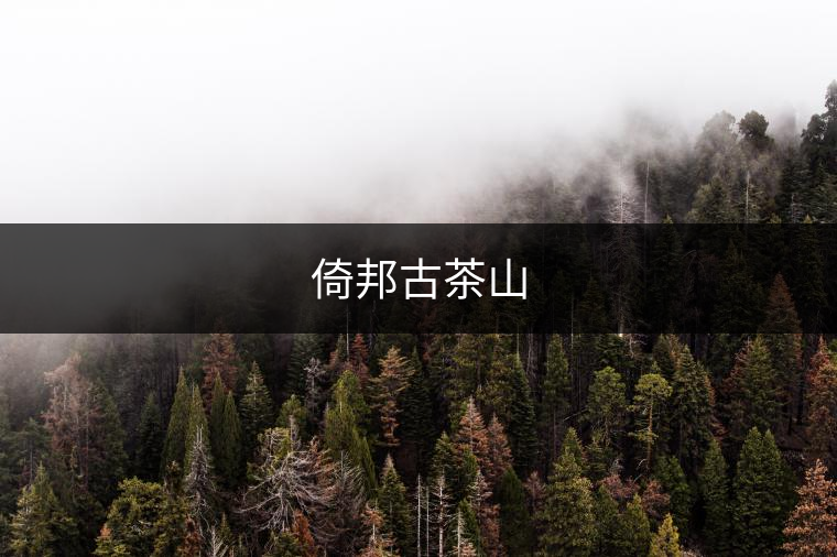 倚邦古茶山