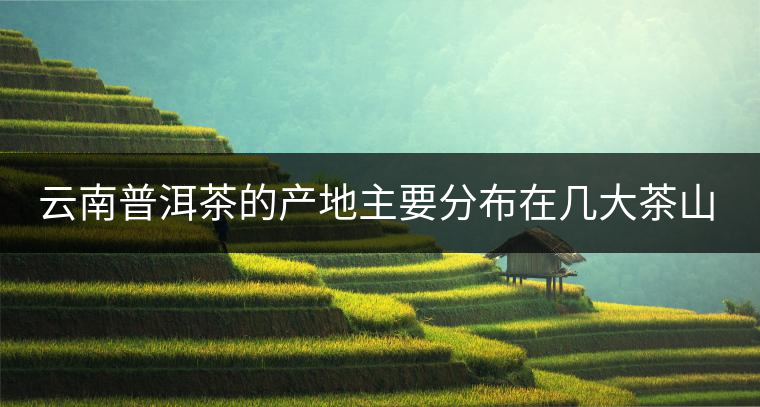 云南普洱茶的產(chǎn)地主要分布在幾大茶山，普洱茶古茶山以瀾滄江為界劃分為