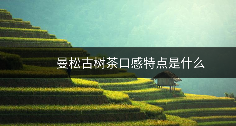 　　曼松古樹茶口感特點是什么