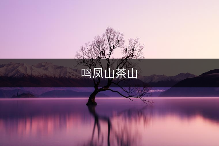 鳴鳳山茶山