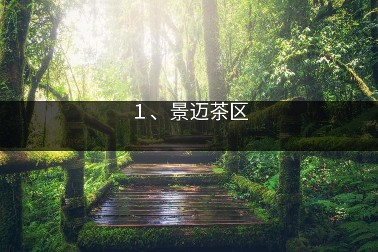 １、景邁茶區(qū)
?