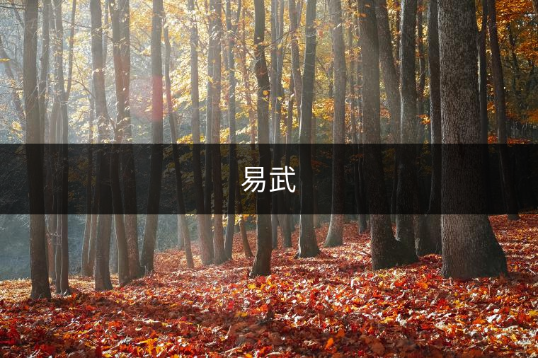 易武?