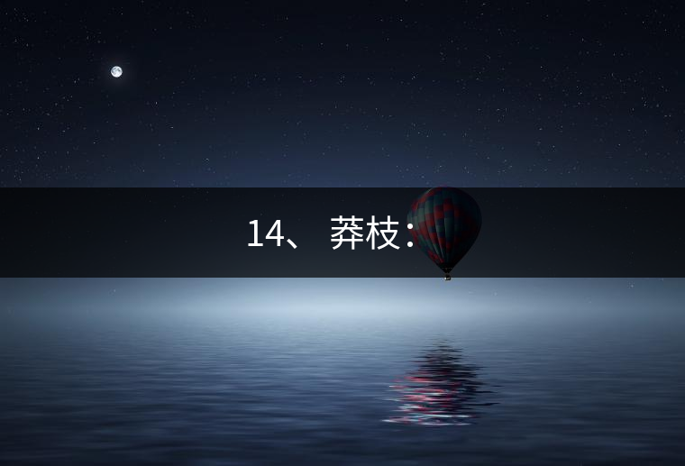 14、 莽枝：?