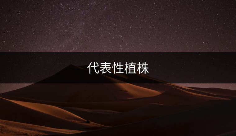 代表性植株：