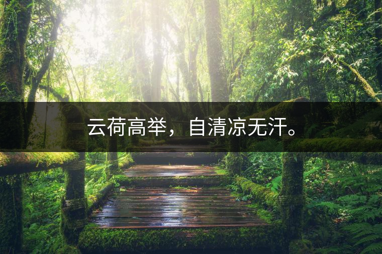 云荷高舉，自清涼無汗。