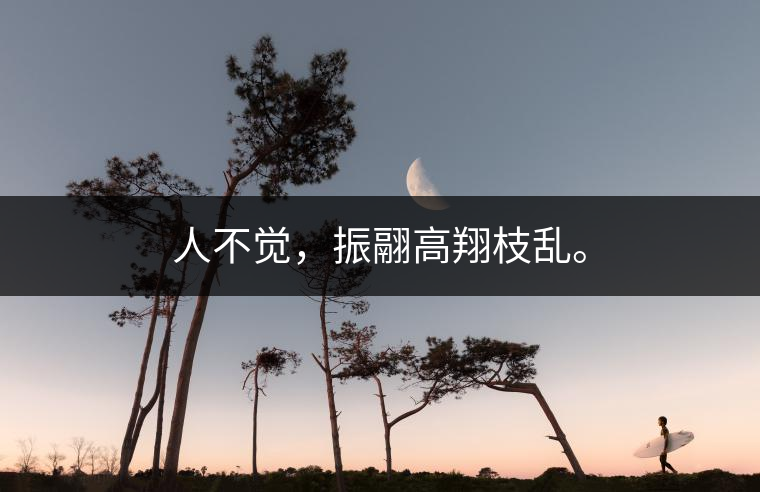 人不覺，振翮高翔枝亂。