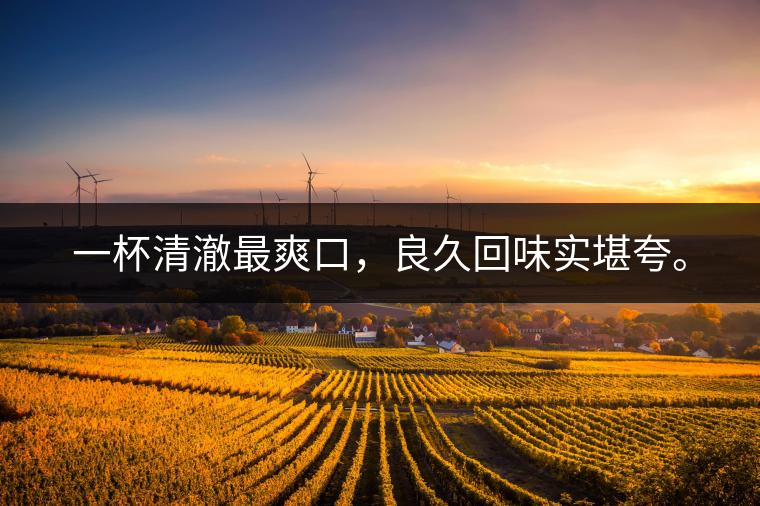 若能一日車船至，從此美名滿天涯。