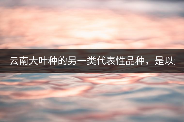 云南大葉種的另一類代表性品種，是以無性繁殖方式選育出來的云南大葉種的后代。主要有：云抗43號、長葉白毫；云抗10號、云抗14號：云梅、云瑰、矮豐等；云選9號、云抗37號.