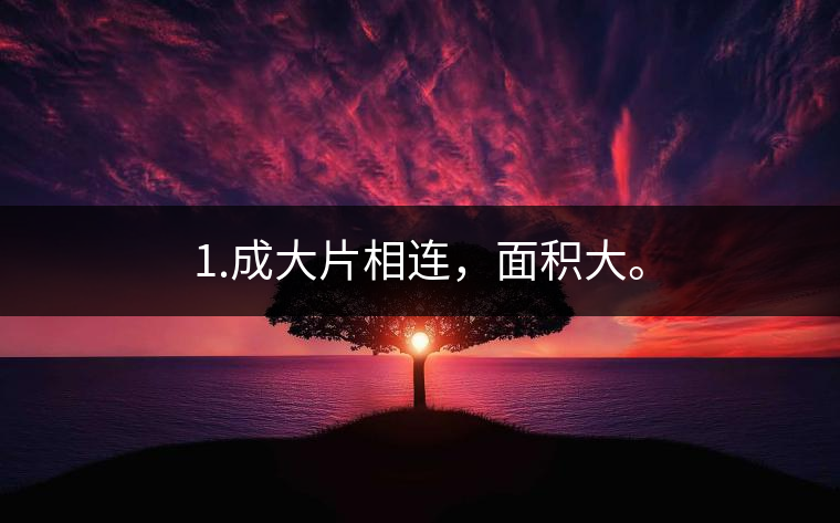 1.成大片相連，面積大。