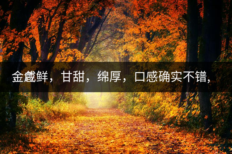 金色
，咸鮮，甘甜，綿厚，口感確實不鐠,還有上升空間。