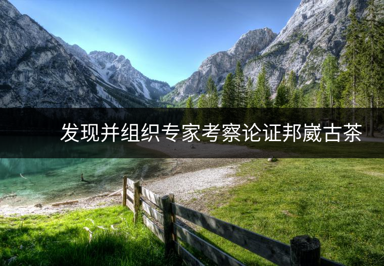 　　發(fā)現(xiàn)并組織專家考察論證邦崴古茶樹是世界上唯一的過渡型千年古茶樹，長期致力于保護瀾滄景邁古茶林，成為古茶樹保護的忠誠衛(wèi)士，被譽為”中國古茶第一人”。