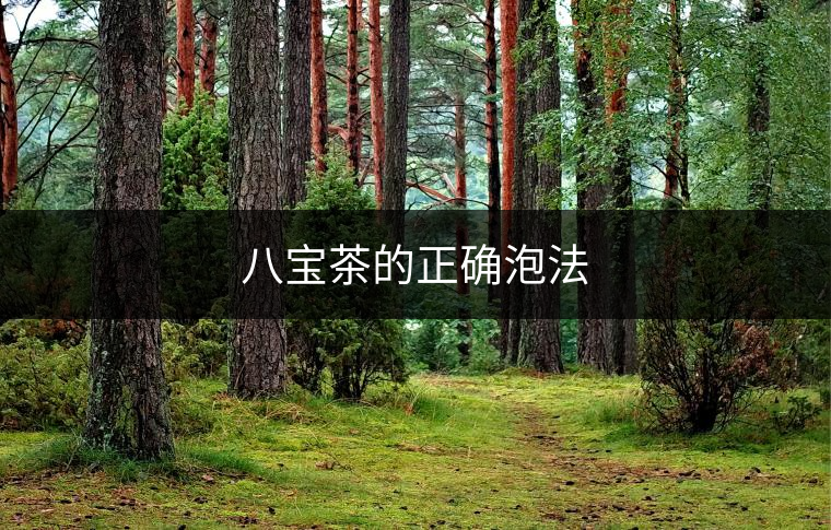 八寶茶的正確泡法 八寶茶的正確泡法