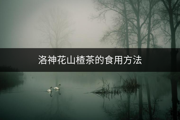 洛神花山楂茶的食用方法