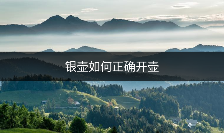 銀壺如何正確開(kāi)壺