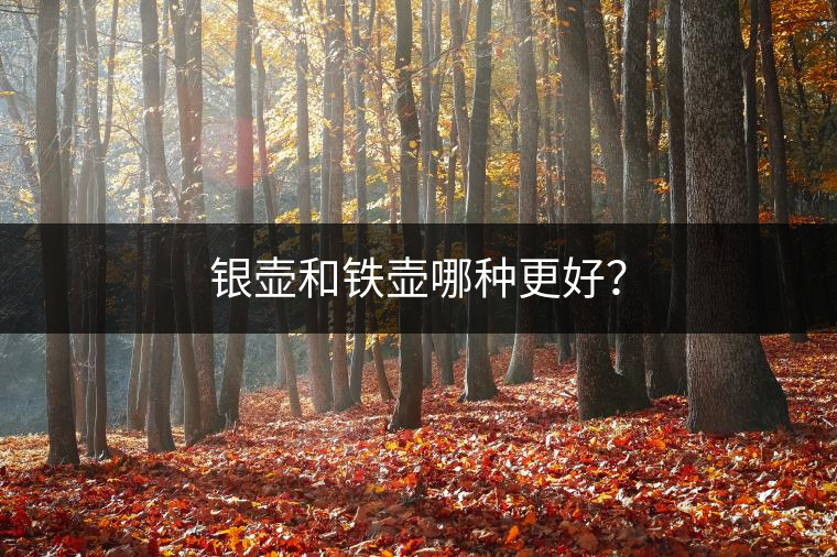 銀壺和鐵壺哪種更好？