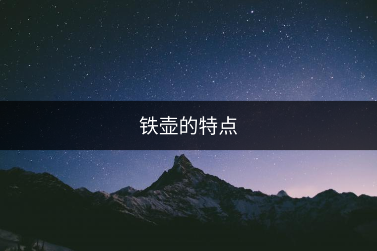 鐵壺的特點