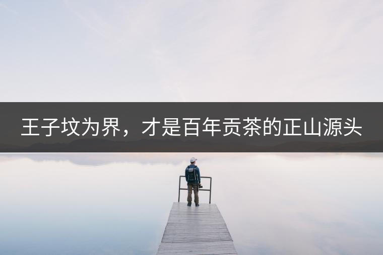 王子墳為界，才是百年貢茶的正山源頭