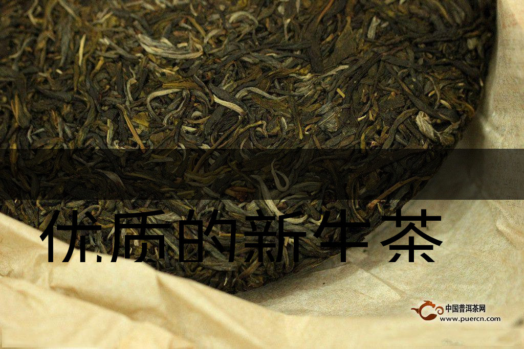 優(yōu)質(zhì)的新生茶是什么樣的？