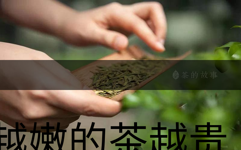 越嫩的茶越貴，但越貴的茶就越好嗎？