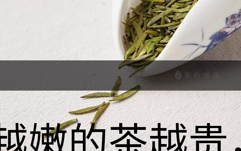越嫩的茶越貴，但越貴的茶就越好嗎？-1